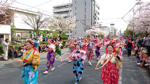 24HF-japan_nankin_tamasudare_association