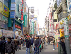 akiba02