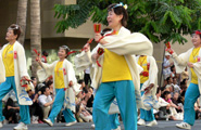 大阪からの泉州ソーリャ踊り子隊の皆さん　鳴子を元気にカチカチと鳴らしてのパレード