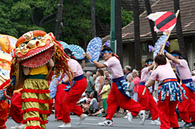 The lion from Taiwan is apparently female. She definitely has charm.