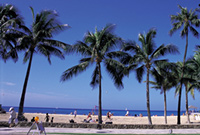 a_waikiki
