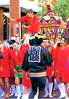 Women Mikoshi