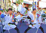 Yosakoi Matsuri