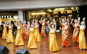 Pikake Leilani Hula Studio dance gracefully and joyfully.