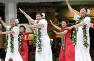 Osaka’s Hula Halau Luana & Ikala in their red and white muumuu, colorful costumes stood out on the stage