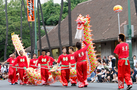 The colorful and long Chinese dragon circles around Kalakaua Ave, performed by members of the Chinese Chamber Commerce of Hawaii.