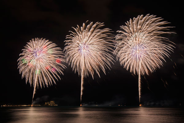 長岡 花火 テレビ 2019