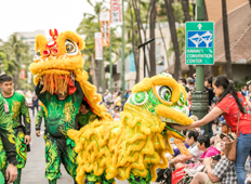 Sing Yung Dragon and Lion Dance Association