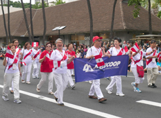 Grupo Peru / Aelucorp