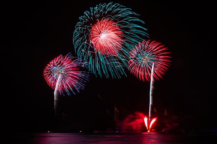 Fireworks_TM-0035