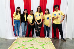 Volunteer Application